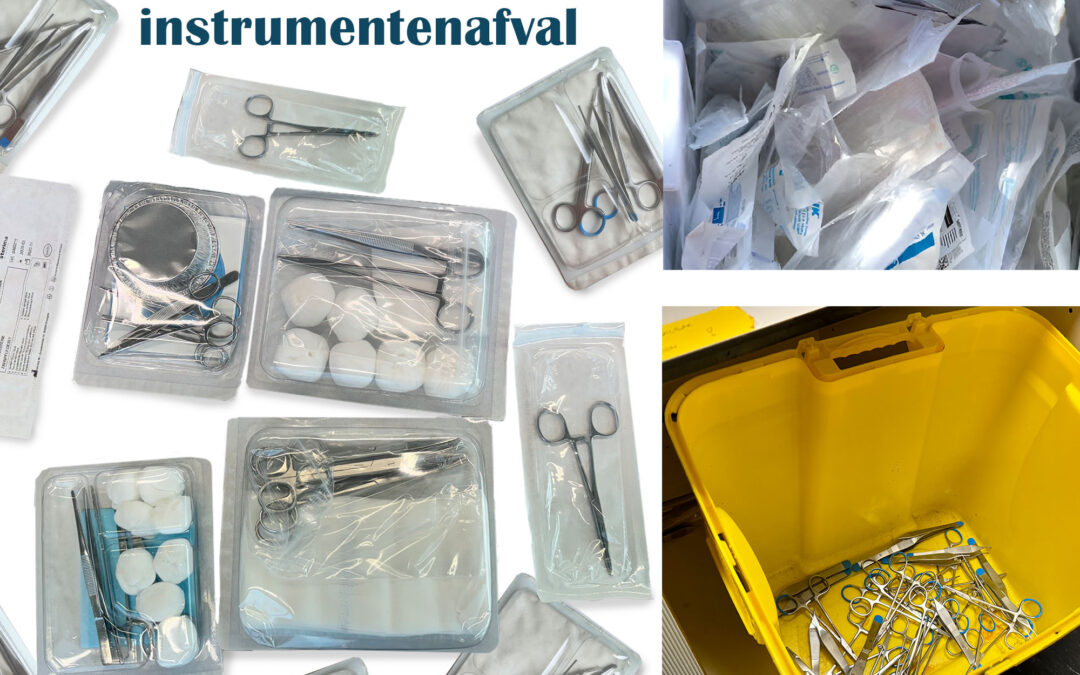 Enya De Raedemaecker