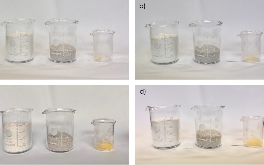 Florence Van Audenrode