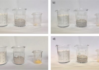 Florence Van Audenrode